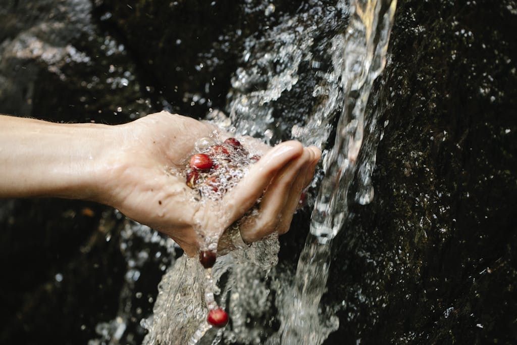 Person washing red berries in transparent water of brook